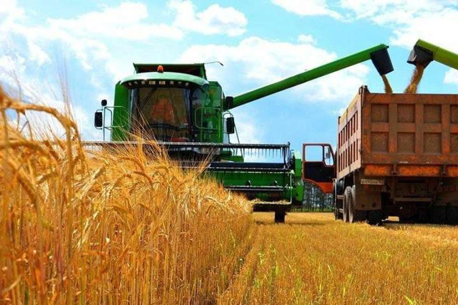 Українські Національні Новини (УНН)