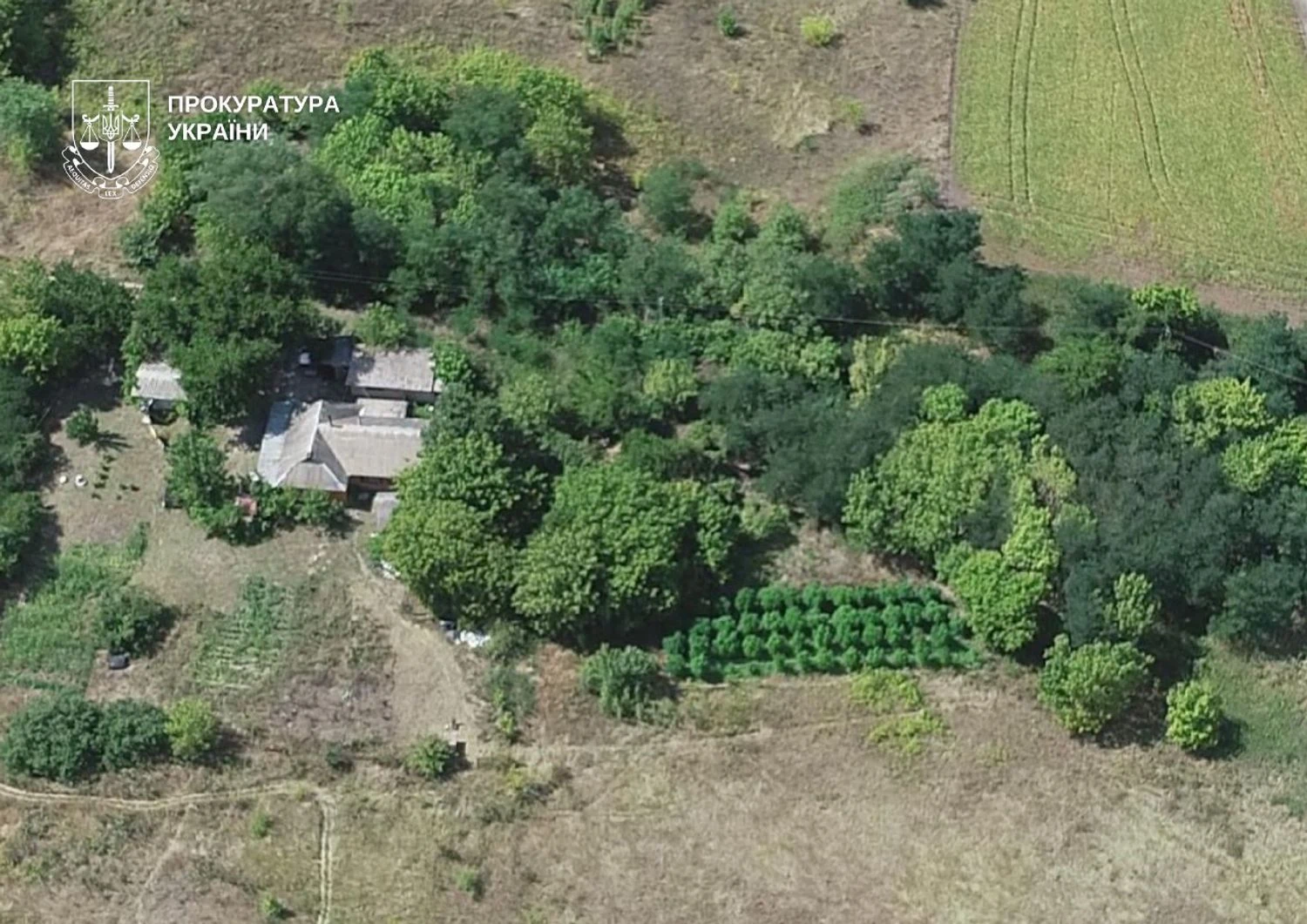 У Києві викрили наркоаграріїв, у яких вилучили 50 мішків коноплі та 5 кг канабісу