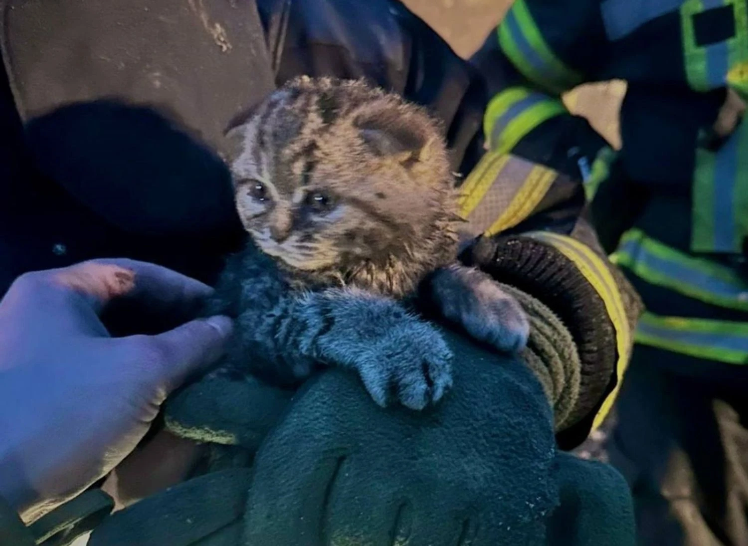 Українські Національні Новини (УНН)