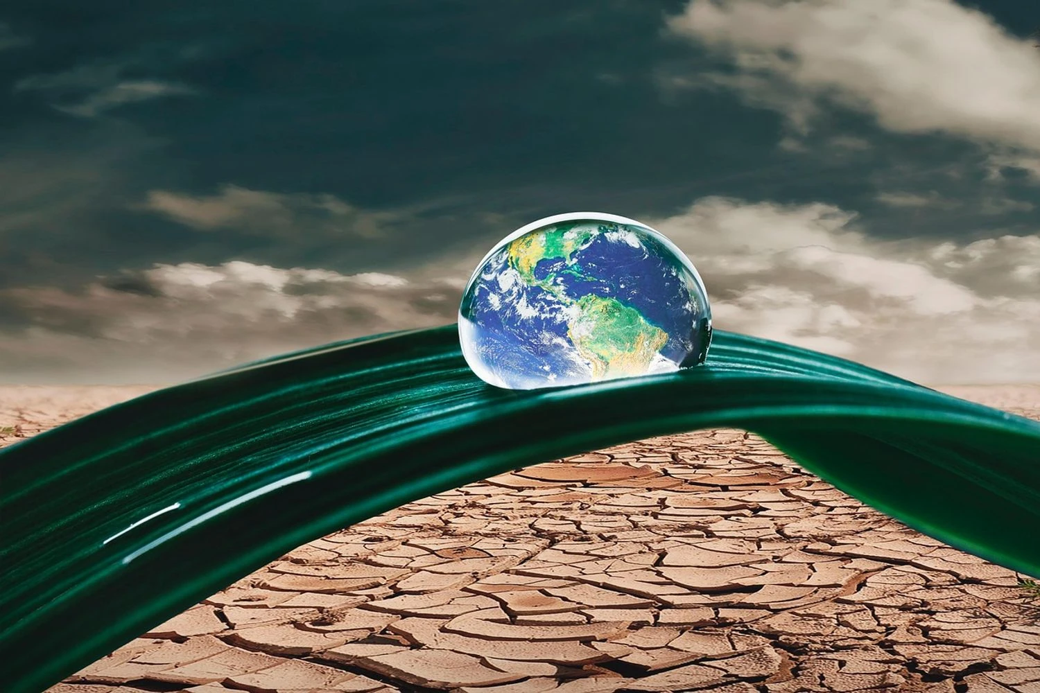 Українські Національні Новини (УНН)