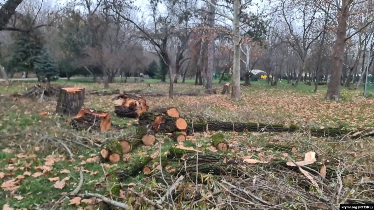Українські Національні Новини (УНН)