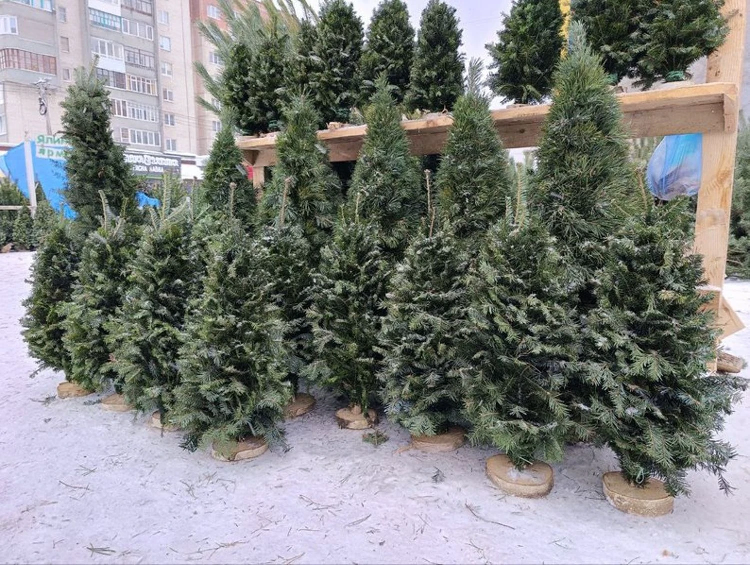 Українські Національні Новини (УНН)