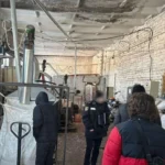 Українські Національні Новини (УНН)