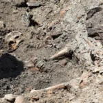 Українські Національні Новини (УНН)