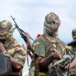 Щонайменше 30 загиблих людей та сотні спалених домівок після нападу бойовиків у Нігерії