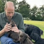 Принцеса Уельська підтвердила поповнення в родині: у Кейт і Вільяма з’явилося цуценя