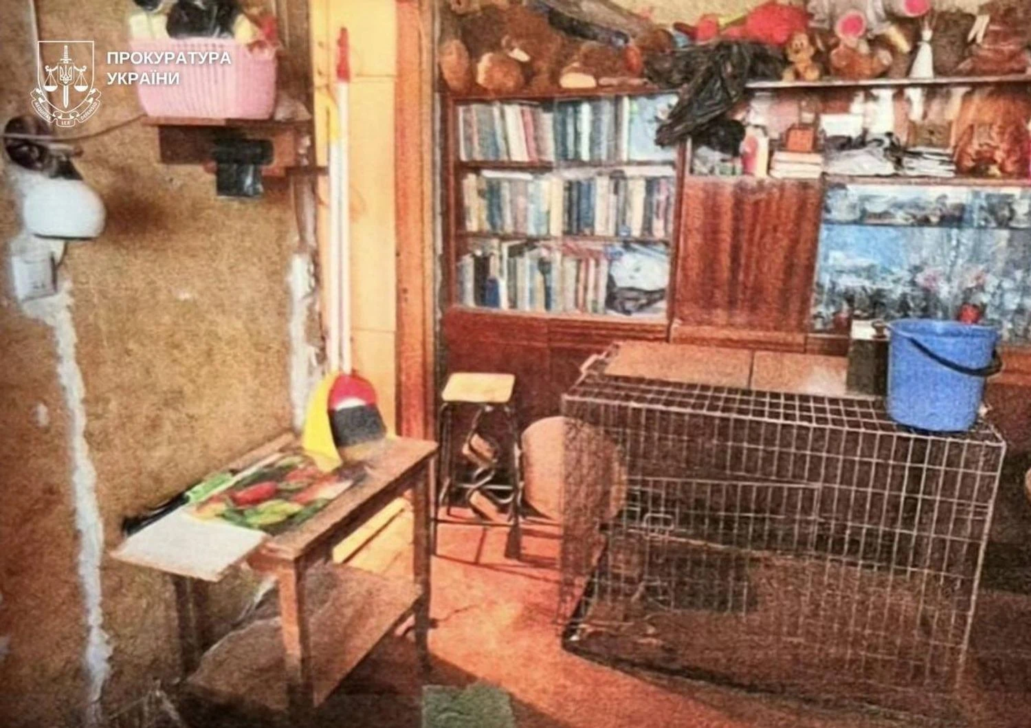 Вовк накинувся на власницю, а лисиця загинула – киянці, яка тримала у квартирі диких тварин, повідомили про підозру