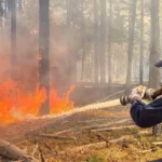 Масштабна лісова пожежа у Чорнобильській зоні триває - над гасінням працюють сотні вогнеборців