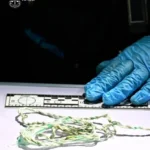 На Буковині свекор задушив 21-річну невістку, а потім разом із cином закопав її на городі. Чоловіків відправили під варту