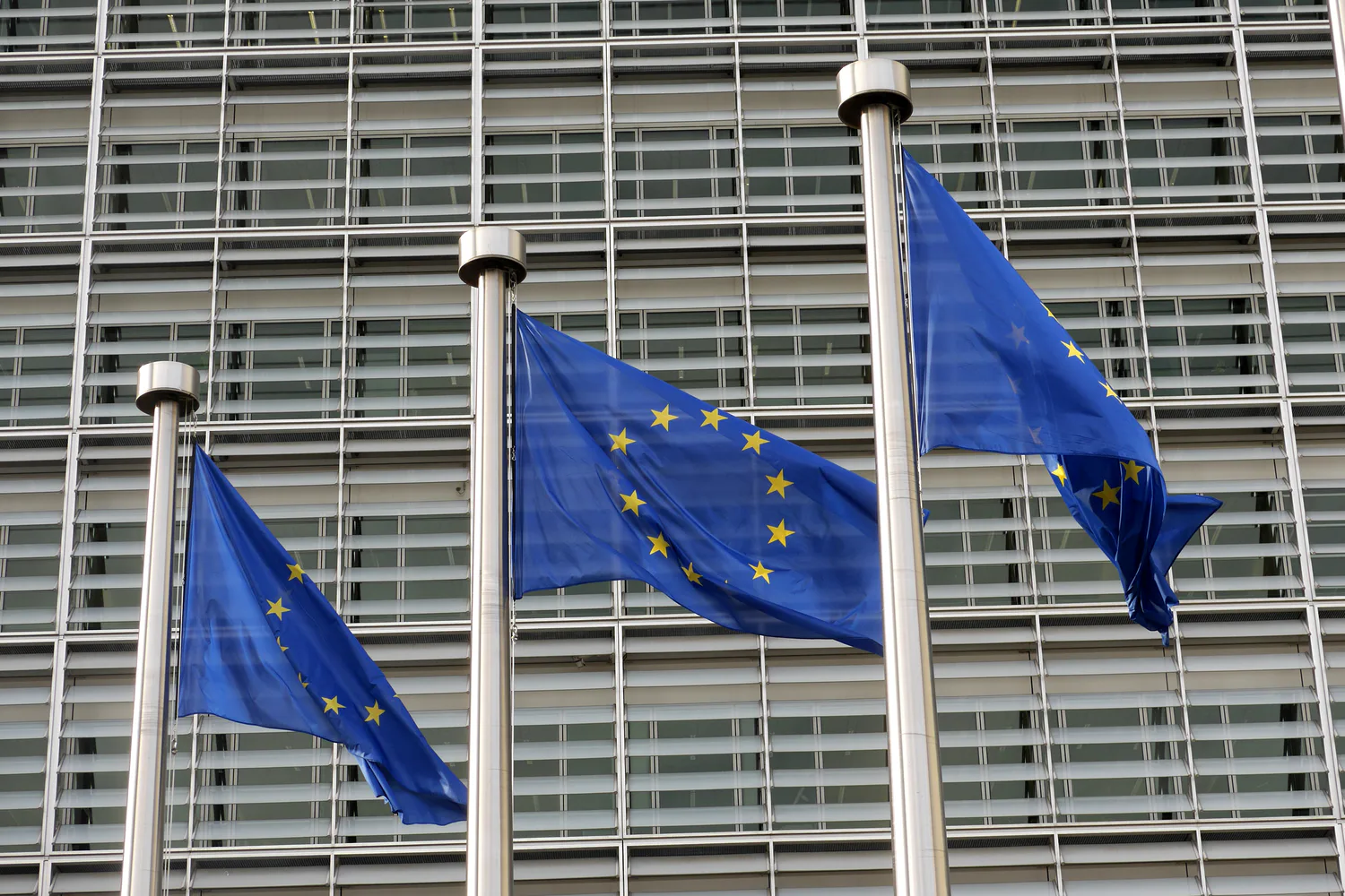 ЄС розглядає виключення чоловіків призовного віку з тимчасового захисту для українців - ЗМІ