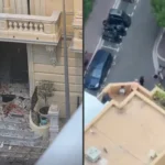 Українські Національні Новини (УНН)